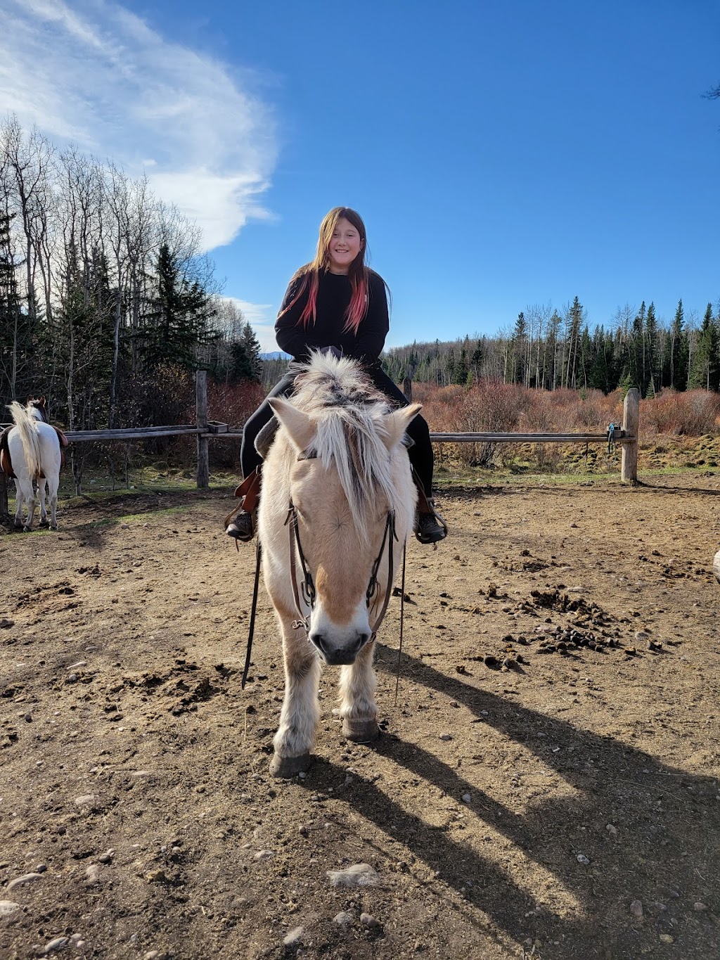 Saddle Peak Trail Rides | Alberta T0L 1N0, Canada | Phone: (403) 922-7430