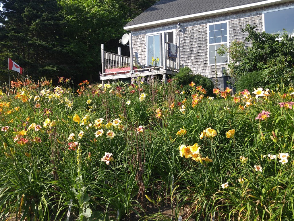 Harbour Breezes Daylilies | 10099 Nova Scotia Trunk 7, Head of Jeddore, NS B0J 1P0, Canada | Phone: (902) 889-3179