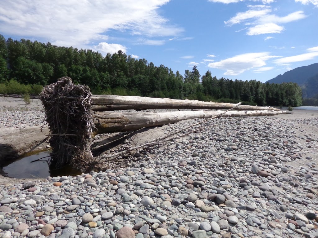 Squamish Estuary | Squamish, BC, Canada