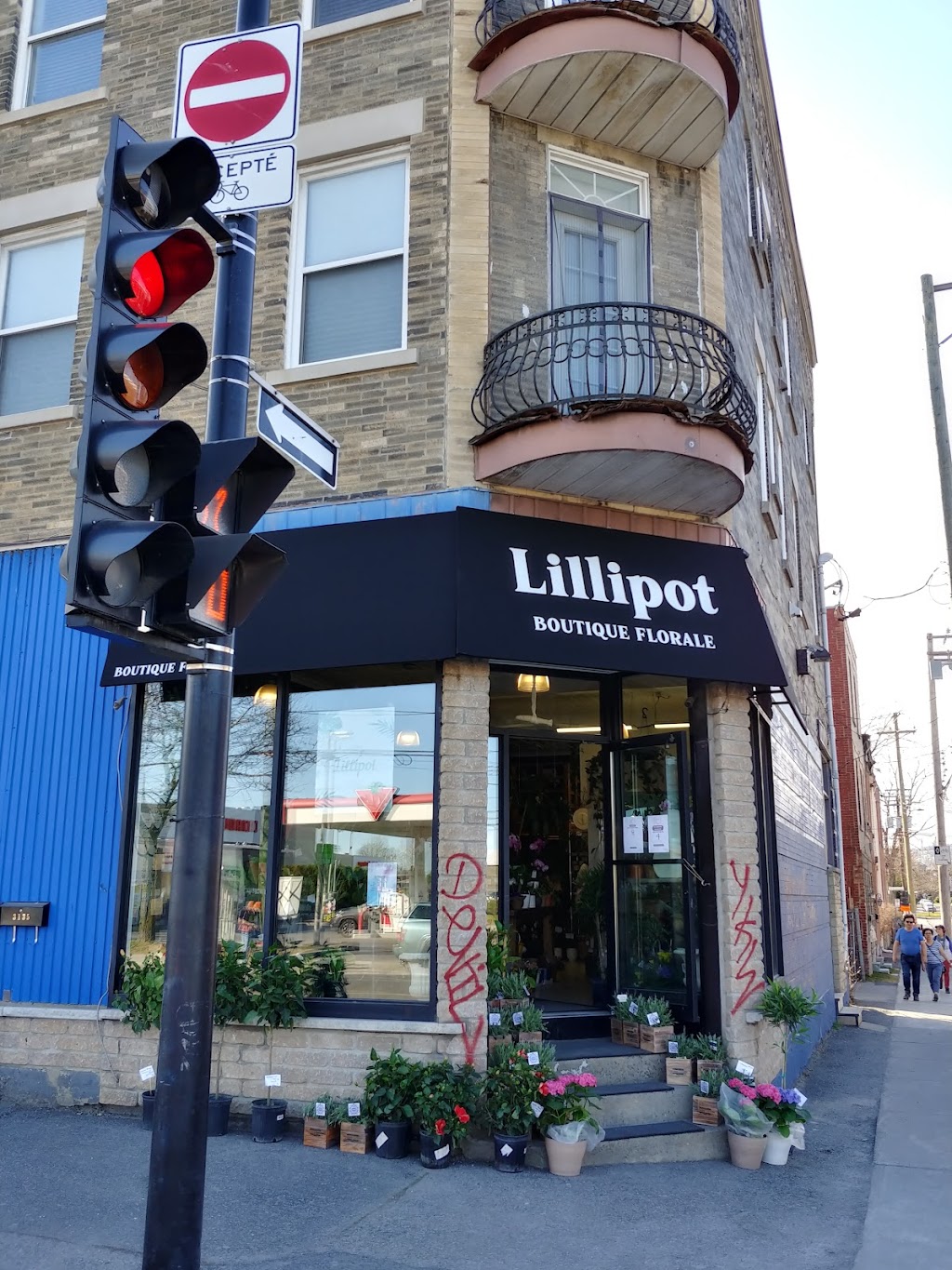Lillipot - Boutique Florale | 3135 Rue Wellington, Verdun, QC H4G 1T2, Canada | Phone: (514) 507-2580