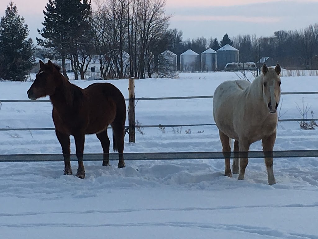 Le Domaine Du Chevallié | 422 Chem. du Grand-Pré, Saint-Jean-sur-Richelieu, QC J2Y 1C9, Canada | Phone: (450) 347-0007