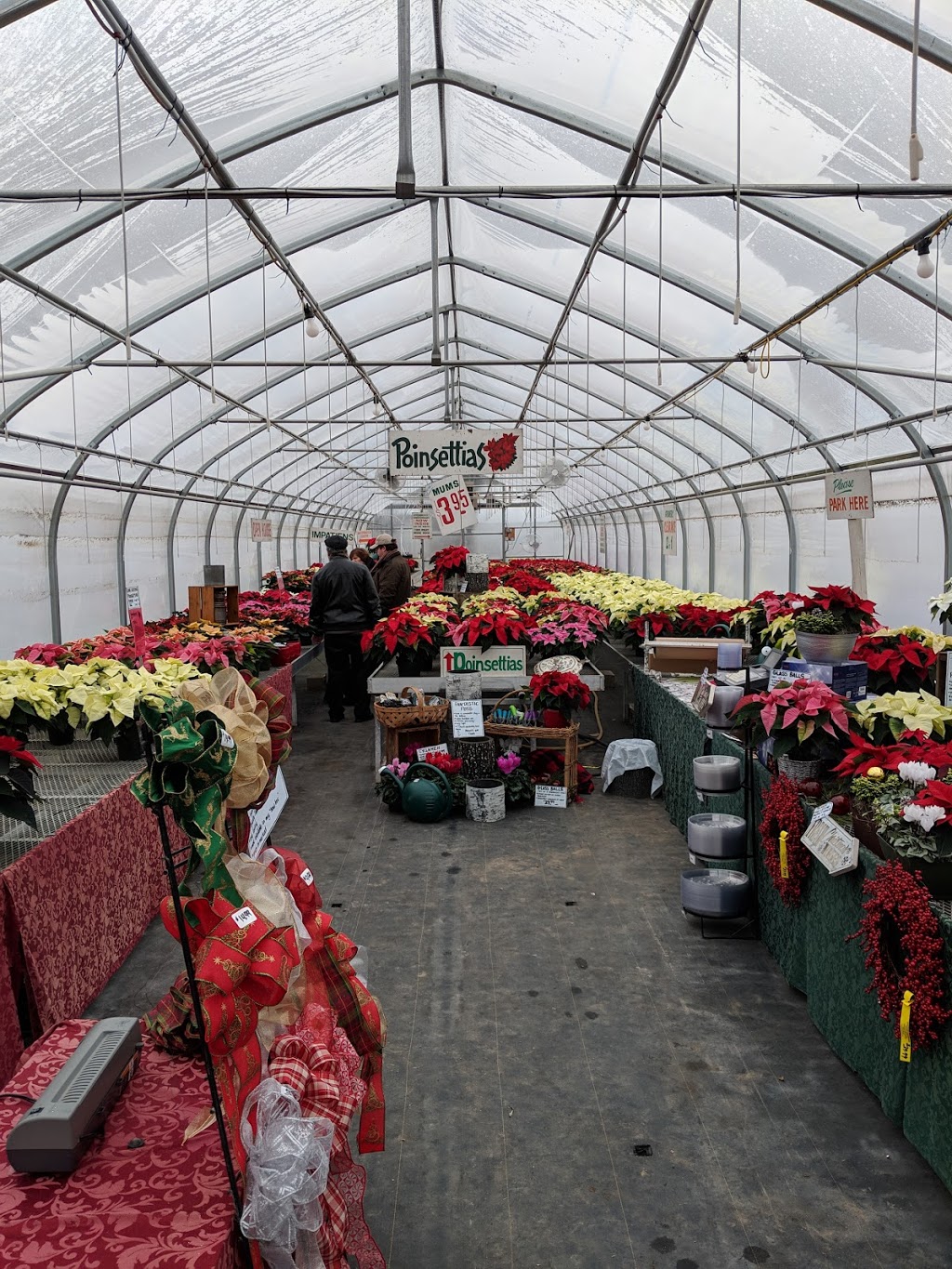 Springbank Greenhouses | 1625 N Sheridan Way, Mississauga, ON L5H 3N5, Canada | Phone: (905) 278-5964