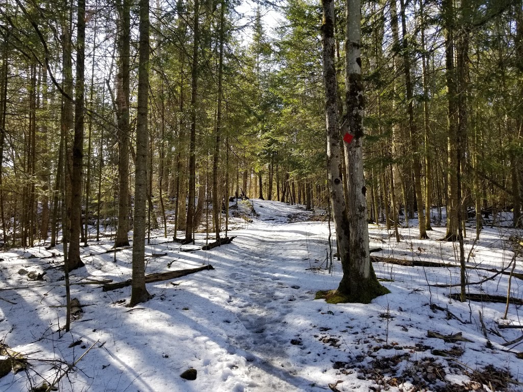 Chattens Creek | Kawartha Lakes, ON K0L 2W0, Canada