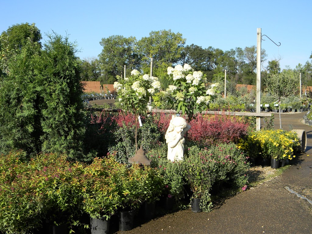 Aubin Nurseries Ltd | 1 & 1/2 miles east of Carman on Hwy #3 Municipal Civic Address: 22101, Carman, MB R0G 0J0, Canada | Phone: (204) 745-6703