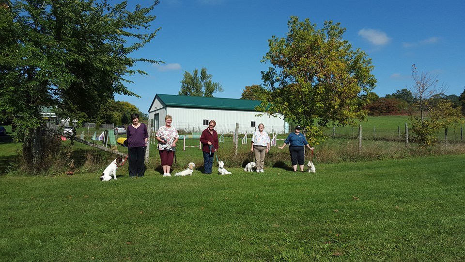 On Target Dog Training | 188 Burbridge Rd, Colborne, ON K0K 1S0, Canada | Phone: (905) 355-1707