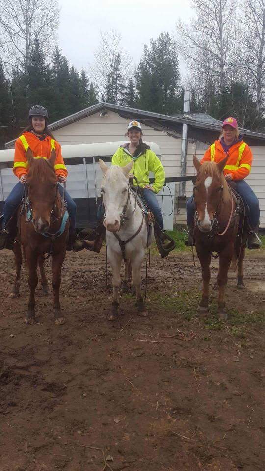 Saddle Tramp Stables | 512 Lockstead Road, Lockstead, NB E9B 1L8, Canada | Phone: (506) 627-6811