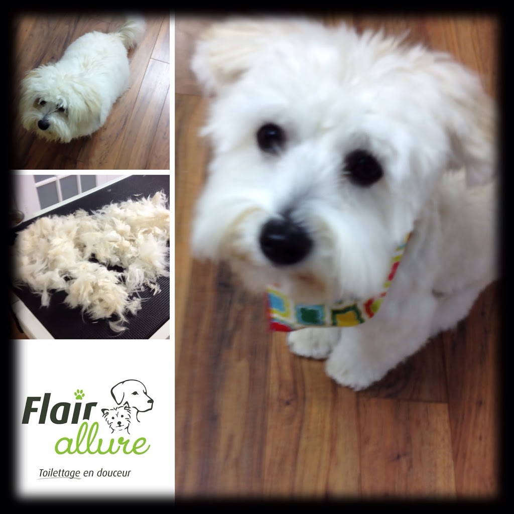 Flair Allure - Toilettage en douceur | 833 Rue DIberville, Boucherville, QC J4B 5E1, Canada | Phone: (514) 299-8784