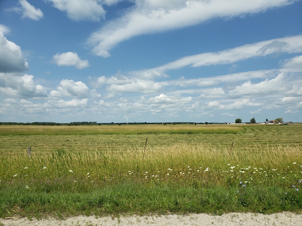 GreenDay Farms | Amaranth, ON L0N 1S0, Canada | Phone: (416) 795-4115