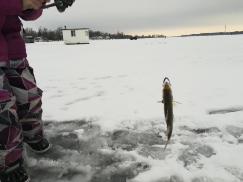 Centre de pêche CR | 1063 Route de Lotbinière, Vaudreuil-Dorion, QC J7V 8P2, Canada | Phone: (450) 424-4171