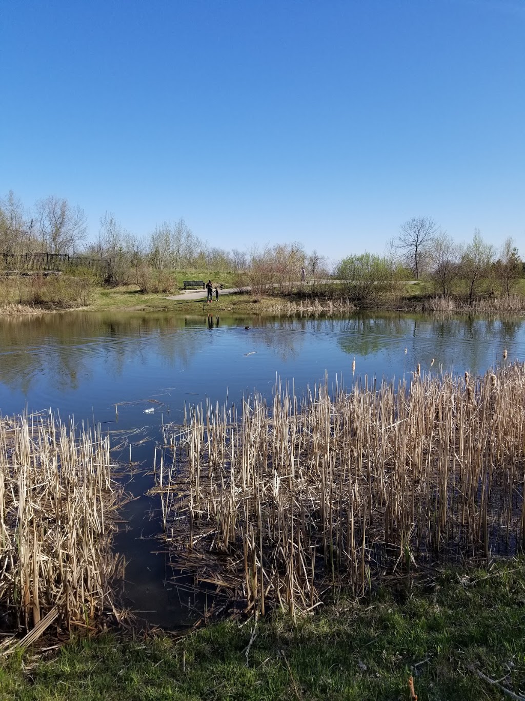 Stormwater Quality Pond & Forest Area | Off 0A5, 965 Langford St, Oshawa, ON L1K 0A5, Canada