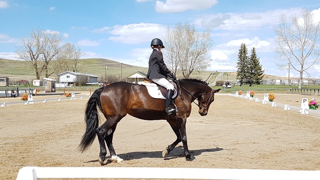 Rocky Mountain Show Jumping | 1405 226 Ave W, De Winton, AB T0L 0X0, Canada | Phone: (403) 256-8652