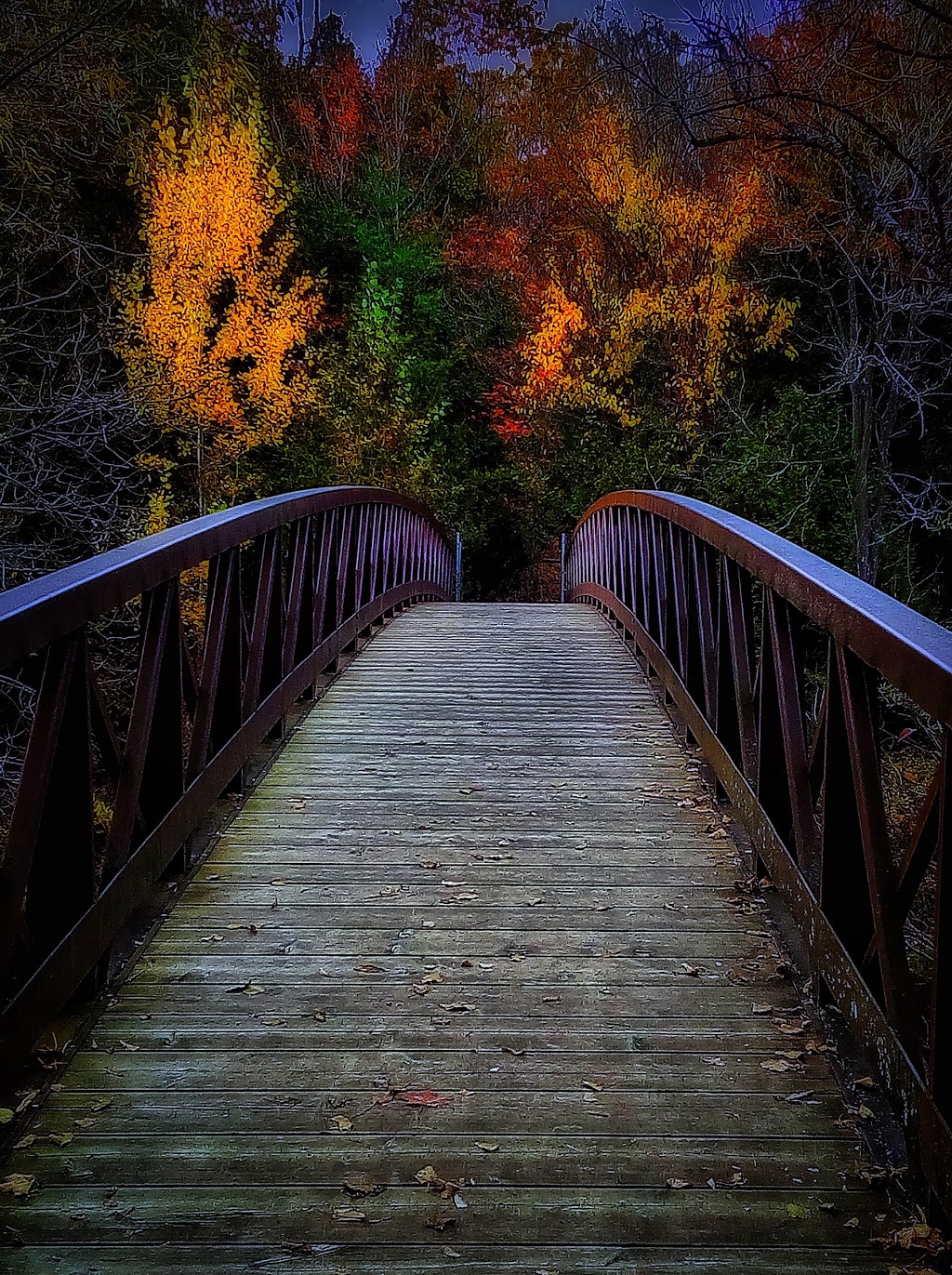 Apps Mill Nature Centre | 308 Robinson Rd, Brantford, ON N3T 5L7, Canada | Phone: (519) 752-0655