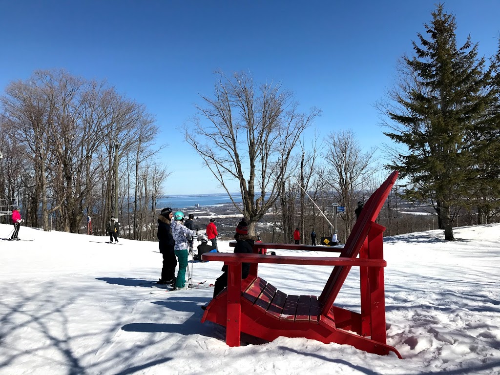 Mountaintop Segway Tours | 115 Swiss Meadows Blvd Unit AS7, Ravenna, ON N0H 2E0, Canada | Phone: (833) 583-2583