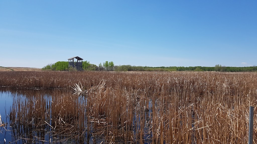 Tourond Creek Discovery Centre | 24 Rd E, Hanover, MB R0A 0V0, Canada | Phone: (204) 326-1030