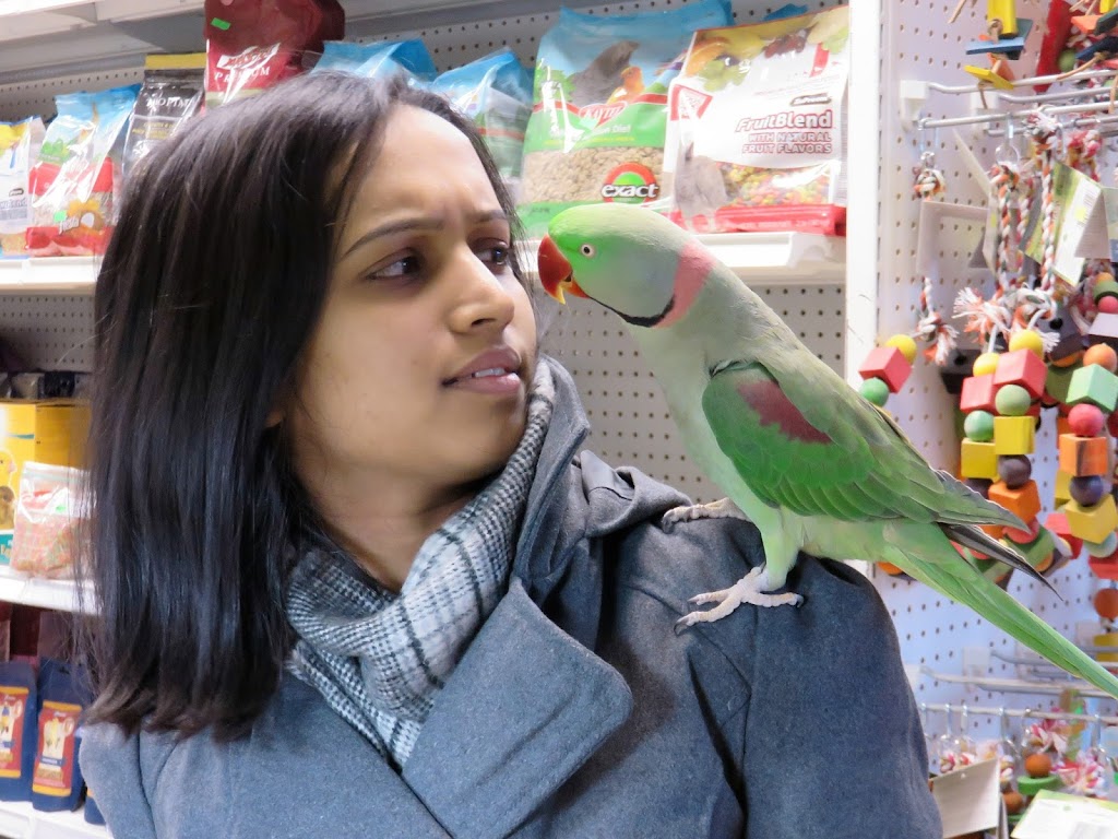 Exotic Pets | 4190 Kingston Rd, Scarborough, ON M1E 4W1, Canada | Phone: (416) 826-7079