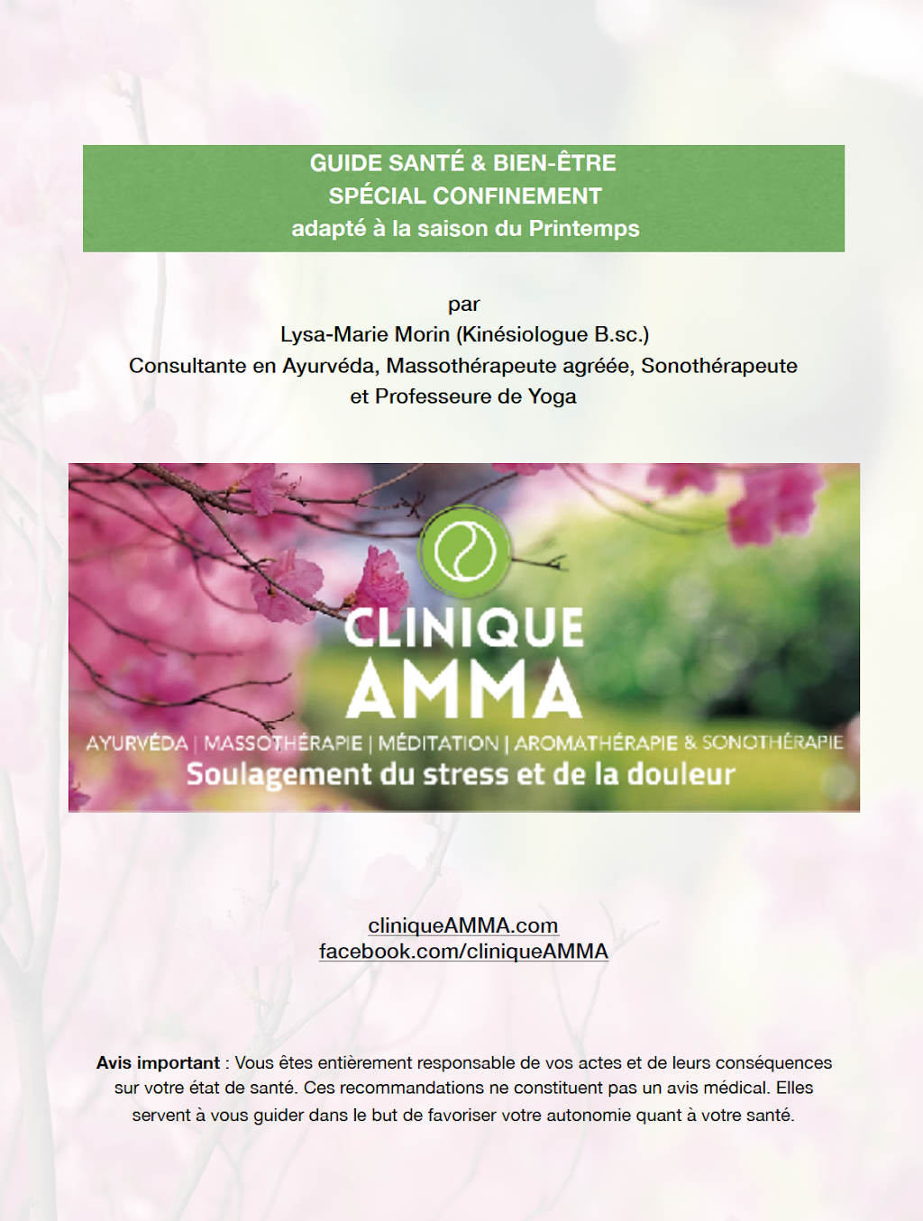 Clinique Amma Québec | Ayurvéda, Massothérapie, Méditation, Arom | 332 Boulevard René-Lévesque O, Québec, QC G1S 1R9, Canada | Phone: (418) 271-5901