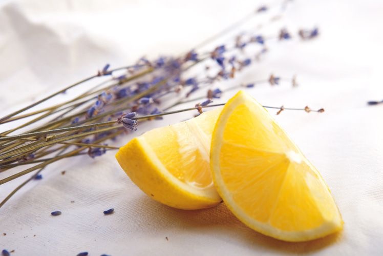 Lemons & Lavender Cleaning Co. | 145 Collier St, Barrie, ON L4M 1H5, Canada | Phone: (705) 896-2306