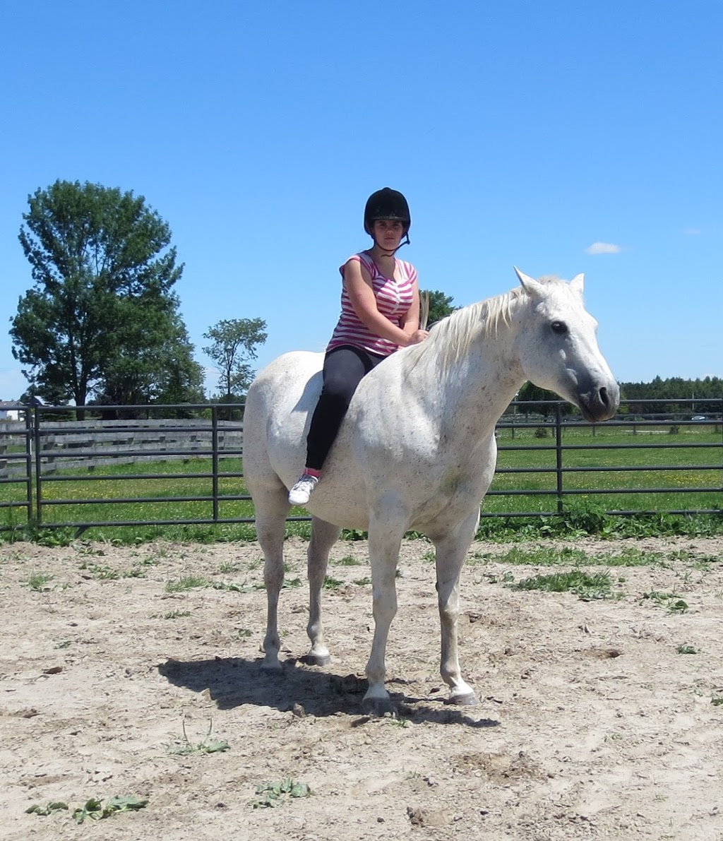 Story Book Meadows Equine Assisted Learning Center & Horse Thera | 8058 Adjala 20 Sideroad, Loretto, ON L0G 1L0, Canada | Phone: (705) 716-7971