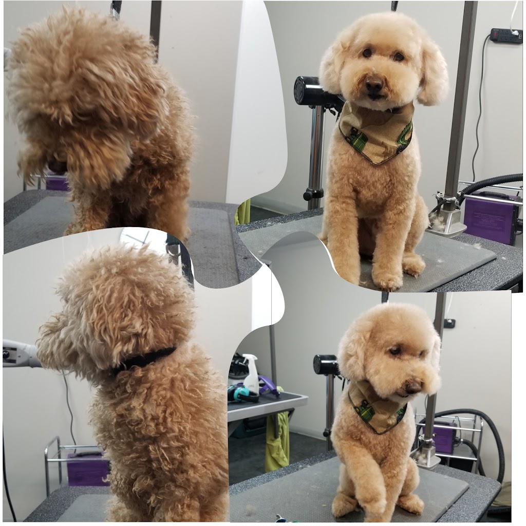 Paw Spa Grooming and Playcare | 530 Wheeler Ave, Acme, AB T0M 0A0, Canada | Phone: (519) 375-7904