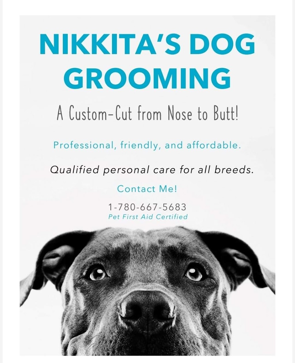 Nikkitas Dog Grooming (westpark) | 40 Wellington Pl, Fort Saskatchewan, AB T8L 0G2, Canada | Phone: (780) 667-5683