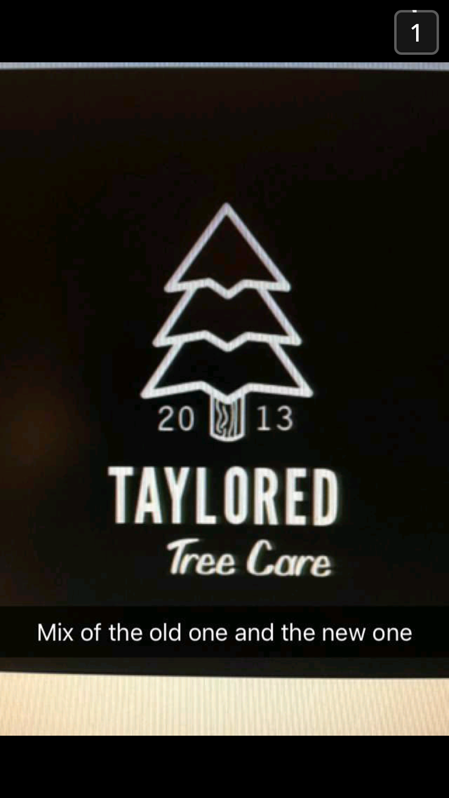 Taylored Tree Care | 281 Linden Dr, Cambridge, ON N3H 4Y1, Canada | Phone: (226) 566-3046