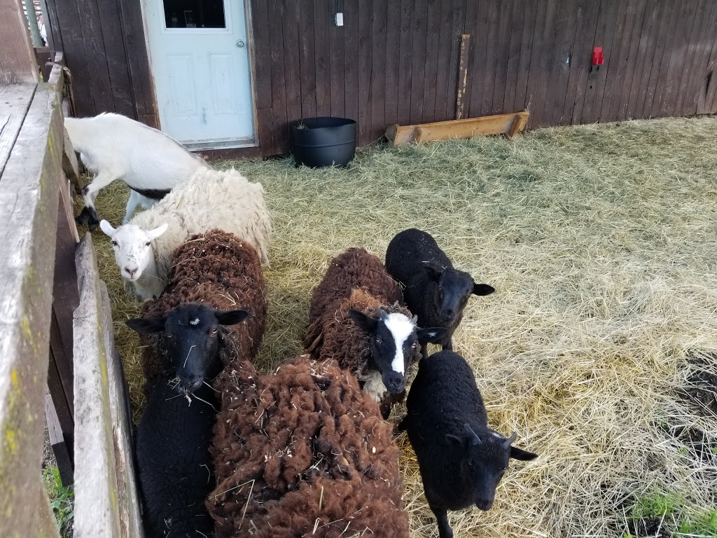 Ferme du Domaine Quinchien | 552 Route de Lotbinière, Vaudreuil-Dorion, QC J7V 0H4, Canada | Phone: (438) 837-9808