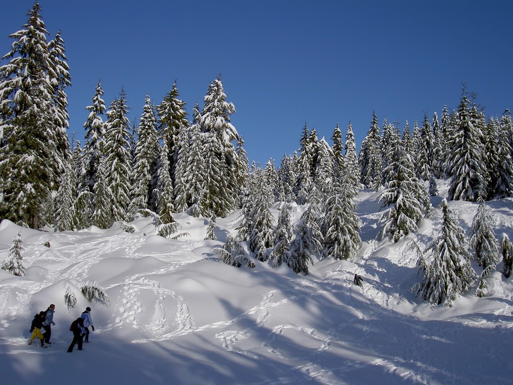 Cypress Mountain Hollyburn Nordic Area | 5000 Cypress Bowl Rd, West Vancouver, BC V7V 3N9, Canada | Phone: (604) 926-5612