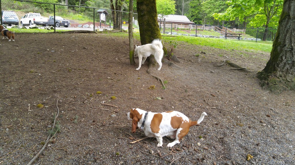 South Cowichan Off-Leash Dog Park | Empress Rd, Cobble Hill, BC V0R 1L2, Canada