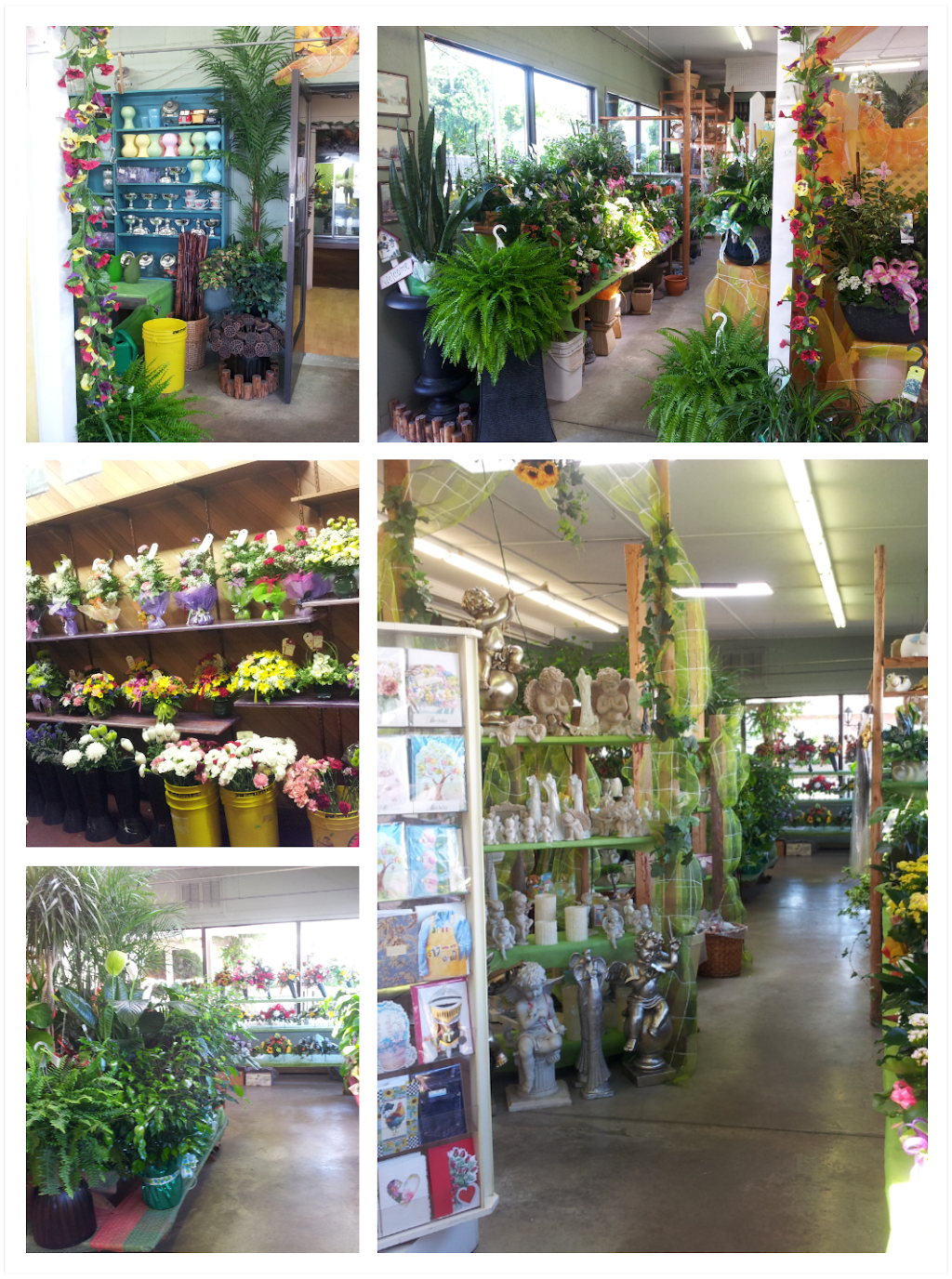 Stans Flowers Inc. | 171 St Clair St, Chatham, ON N7L 3J4, Canada | Phone: (519) 354-6200