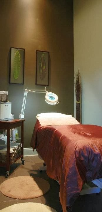 Pure Day Spa | 1614 Lesperance Rd, Windsor, ON N8N 1Y2, Canada | Phone: (519) 735-0101