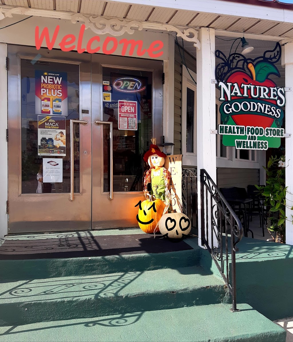 Natures Goodness Health Food and Wellness | 98 W Main St, Welland, ON L3C 5A1, Canada | Phone: (905) 732-6767