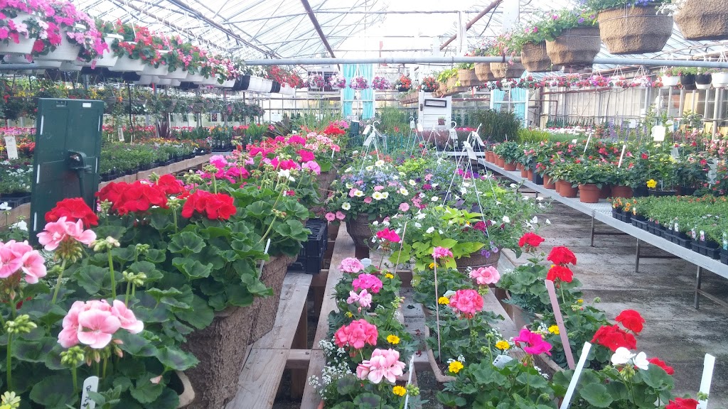 Vanvugt Greenhouses | West Shore Rd, Owen Sound, ON N4K 5N4, Canada | Phone: (519) 376-4537