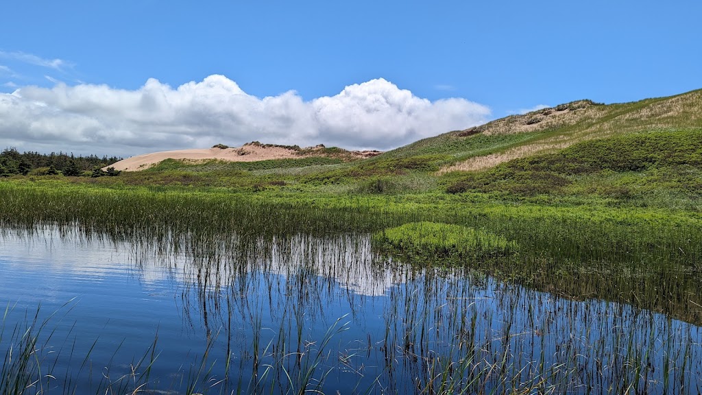 Greenwich, Prince Edward Island National Park | Greenwich Rd, Greenwich, PE C0A 2A0, Canada | Phone: (902) 672-6350