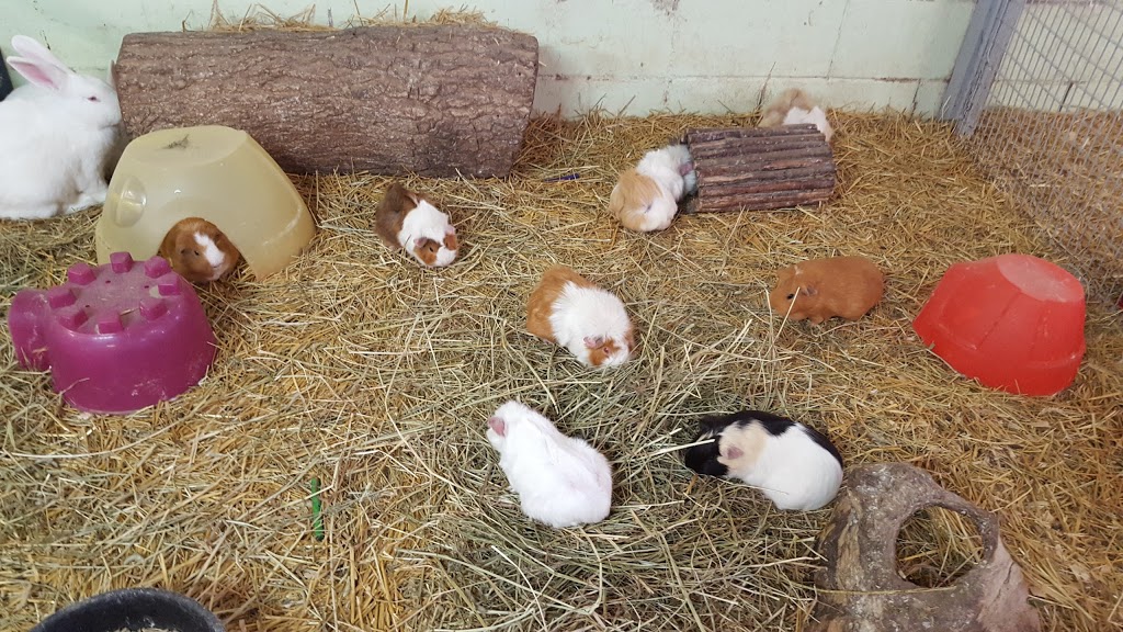 Childrens Animal Farm | 1200 Lake Chipican Dr, Sarnia, ON N7T 7N2, Canada | Phone: (519) 332-0330