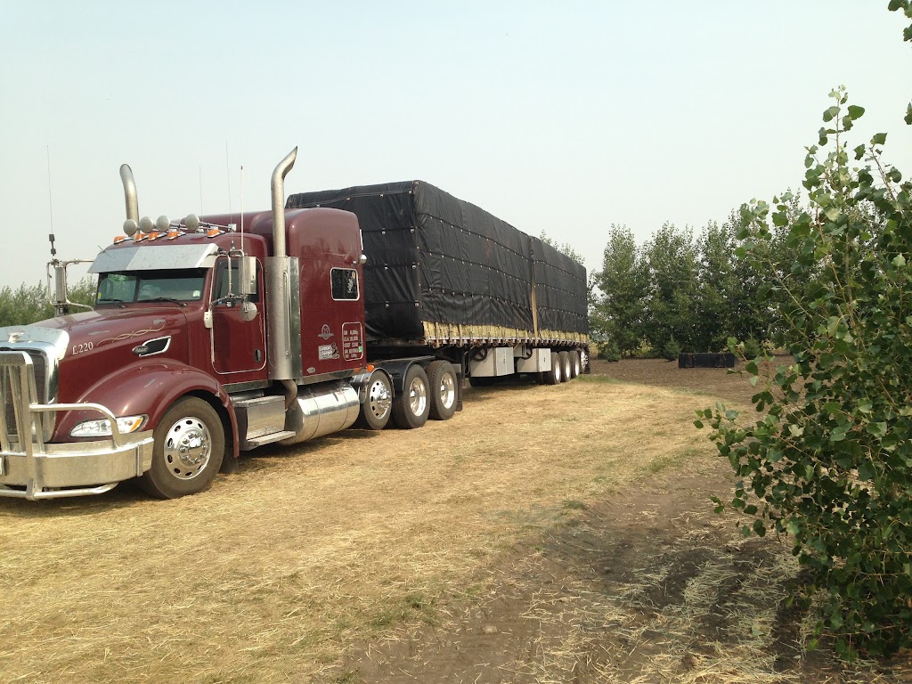 Caveman Transport Ltd | 2814 5 Ave N, Lethbridge, AB T1H 0P1, Canada | Phone: (800) 969-3238