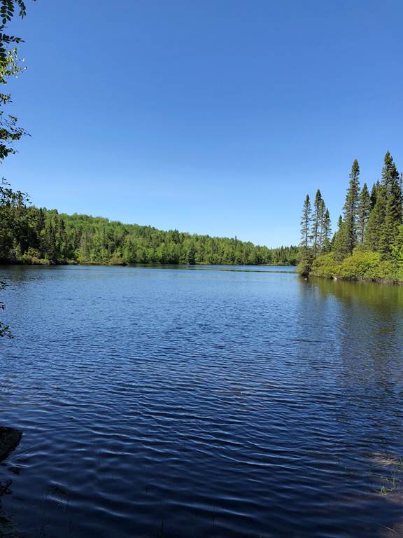 Les Chalets Baie Cascouia and The House At The Lake | 515 Chem. Champigny, Larouche, QC G0W 1Z0, Canada | Phone: (418) 542-7849