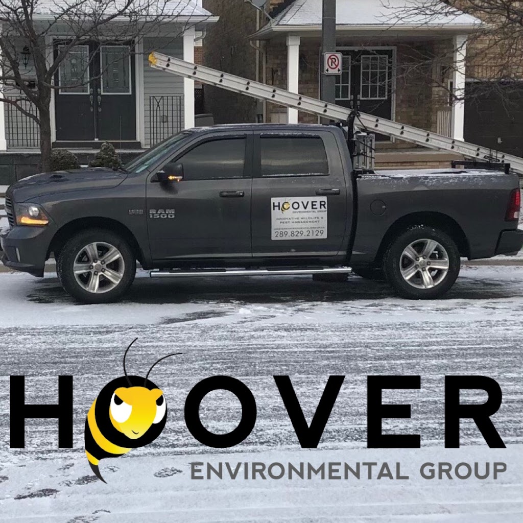 Hoover Environmental Group - Pest Control & Wildlife Removal | 21201 Main St, Caledon, ON L7K 1R6, Canada | Phone: (289) 829-2129