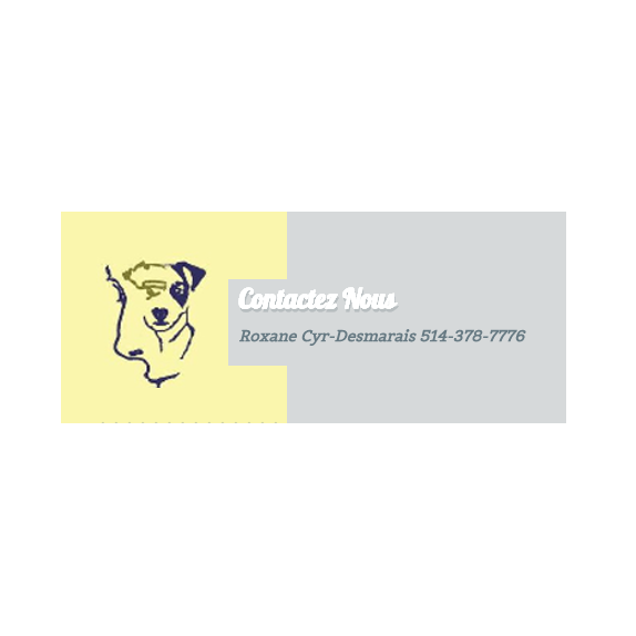 École Canine Professionnelle Tout-Tout | 545 Rang 11, Bonsecours, QC J0E 1H0, Canada | Phone: (514) 378-7776