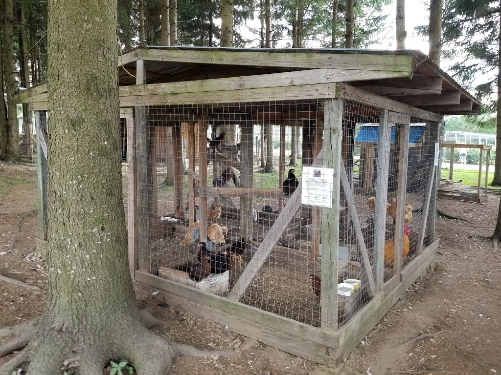 La Ferme Du Pêché Mignon | 110 1er Rang, Saint-Romain, QC G0Y 1L0, Canada | Phone: (418) 486-2451