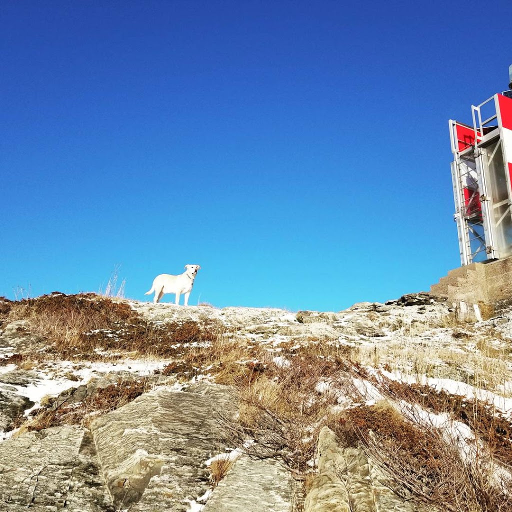 Deadmans Bay Path - Trailhead | Deadmans Bay Path, St. Johns, NL A1C 5H2, Canada