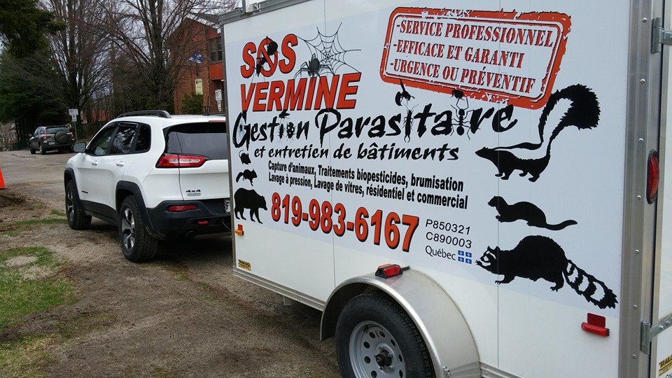 SOS Vermine | 165 Chem. Lavigueur, Saint-André-Avellin, QC J0V 1W0, Canada | Phone: (819) 983-6167