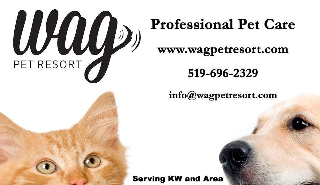 Wag Pet Resort | 2056 Witmer Rd, Petersburg, ON N0B 2H0, Canada | Phone: (519) 696-2329