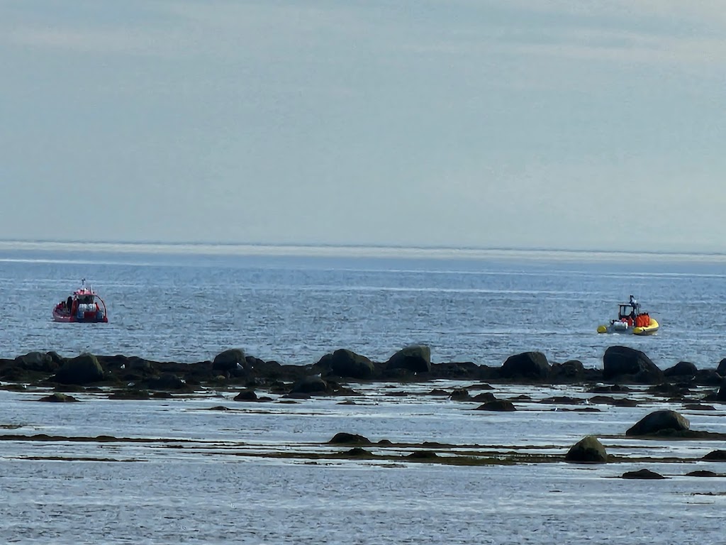 Croisières Essipit / Whale Watching Essipit Cruise | 498 Rue de la Mer, Grandes-Bergeronnes, QC G0T 1G0, Canada | Phone: (418) 232-6778