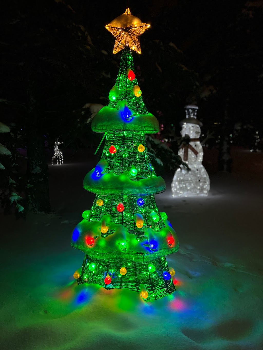 Leduc Country Lights | 49541, Range Rd 260, Calmar, AB T0C 0V0, Canada | Phone: (780) 721-9497