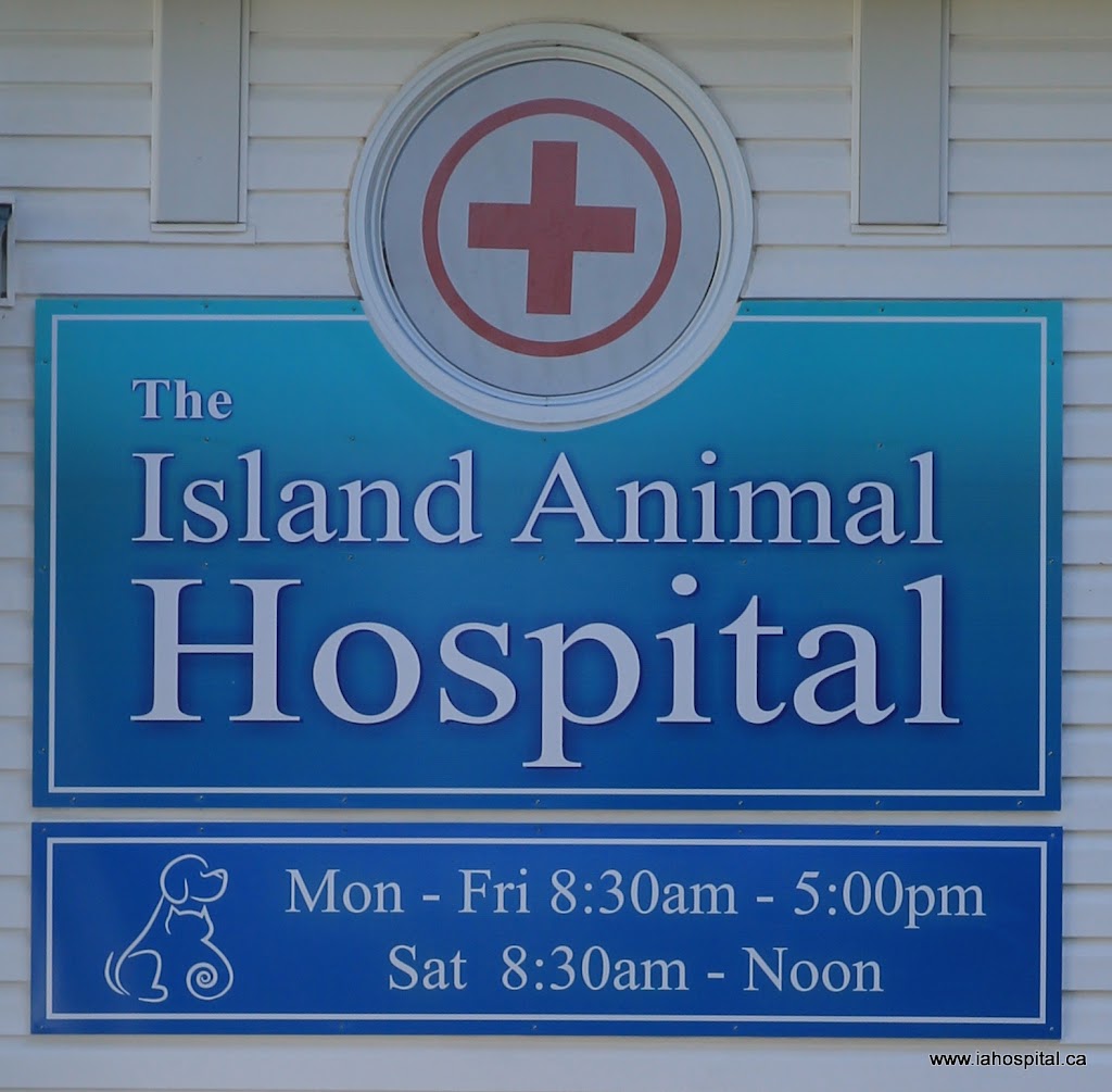 Island Animal Hospital (The) | B, 5993 ON-542, Mindemoya, ON P0P 1S0, Canada | Phone: (705) 377-7200