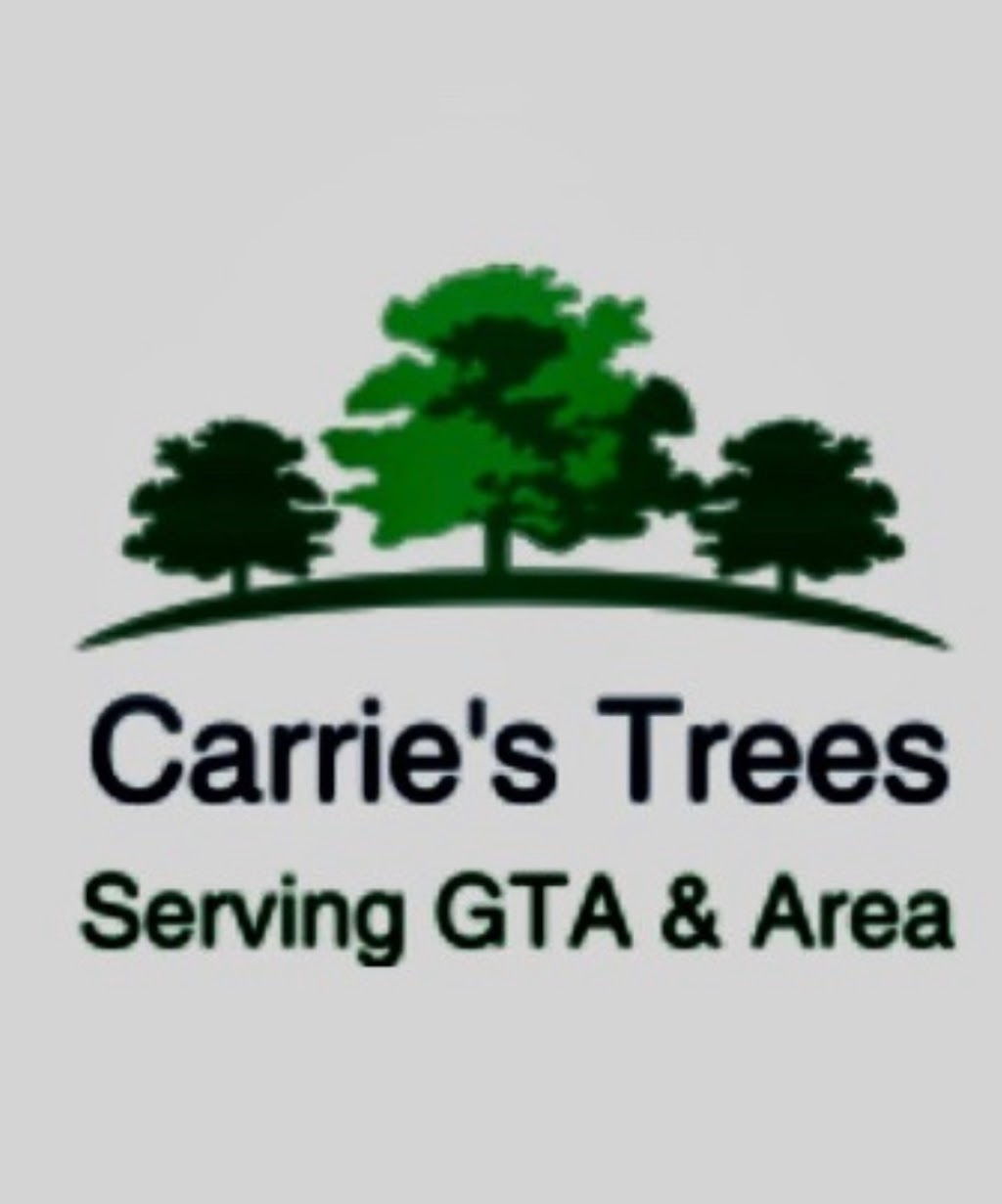 Carries Trees | 1165 Victoria Park Ave, Scarborough, ON M4B 2K5, Canada | Phone: (416) 998-4902