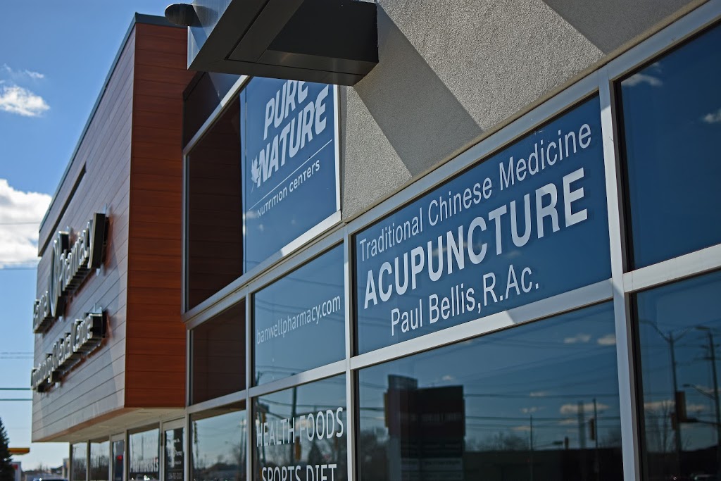 Paul Bellis, Registered Acupuncturist | 11400 Tecumseh Rd E, Windsor, ON N8N 1L7, Canada | Phone: (226) 506-7633