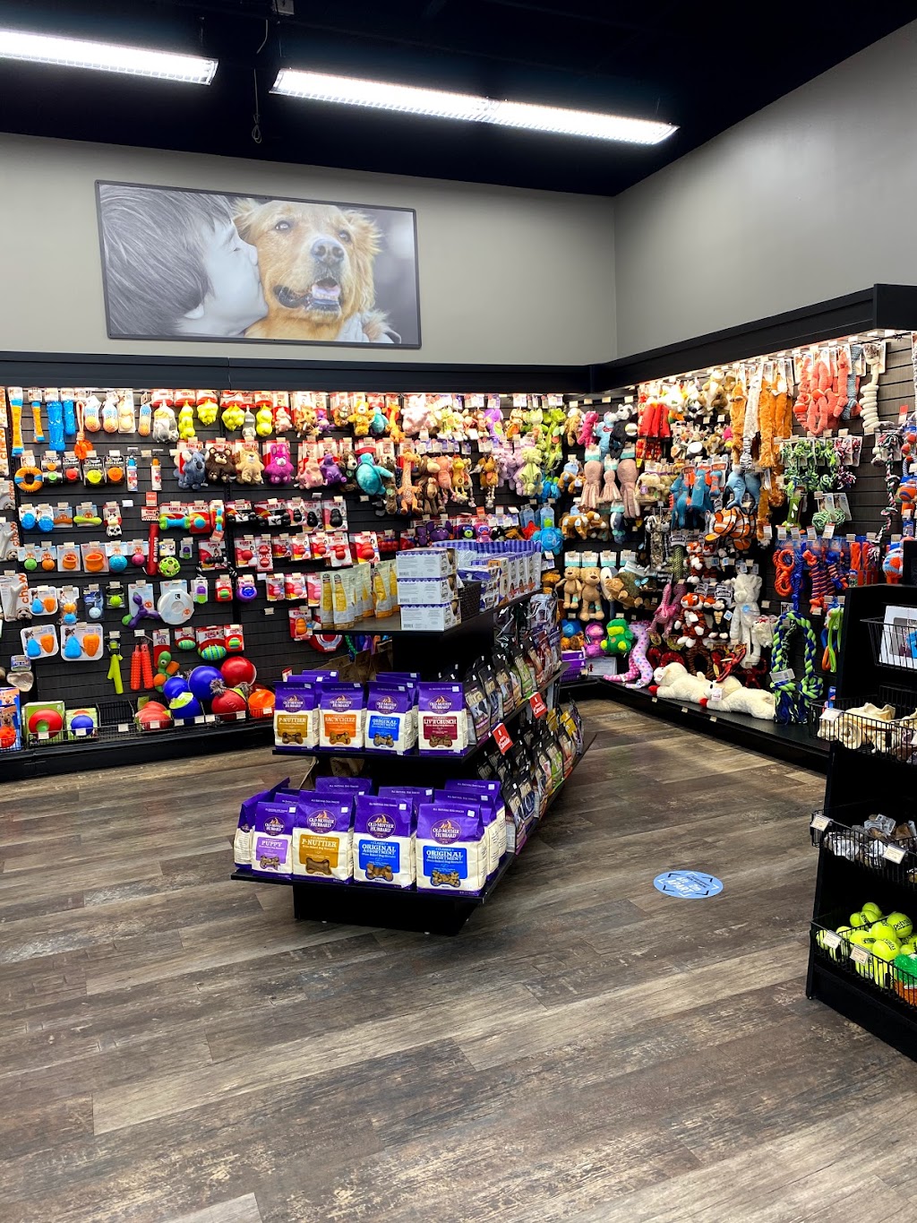 Pet Valu | 37 Cottonwood Dr, Blackfalds, AB T0M 0J0, Canada | Phone: (403) 885-0605