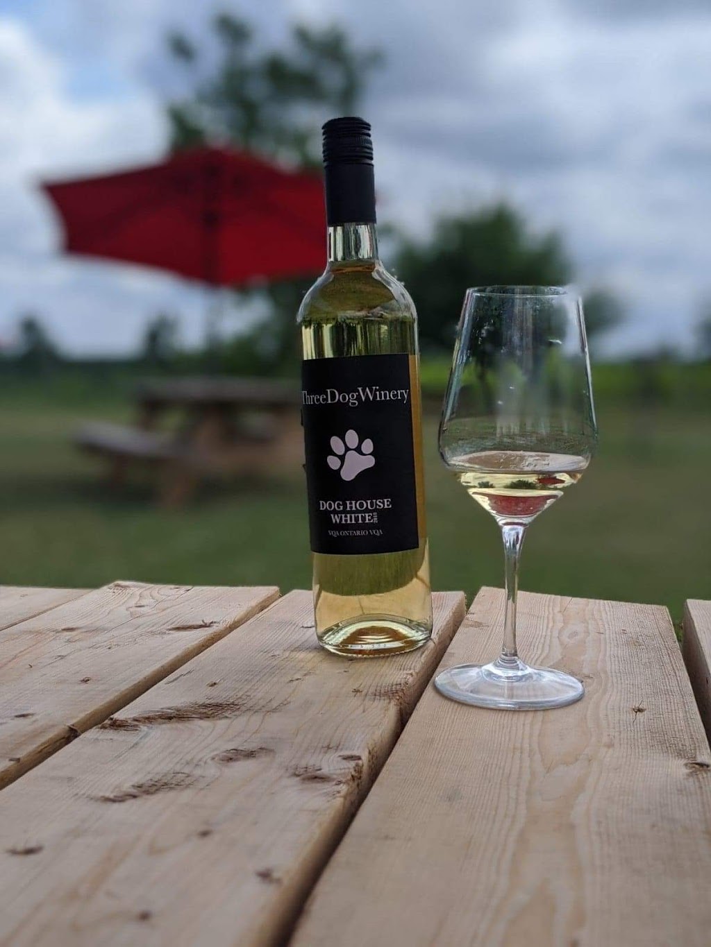 Three Dog Winery | 1920 Fish Lake Rd, Picton, ON K0K 2T0, Canada | Phone: (613) 403-4323