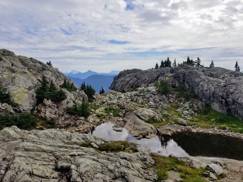 Mount Seymour Trail | Mount Seymour Trail, North Vancouver, BC V7G 1L3, Canada